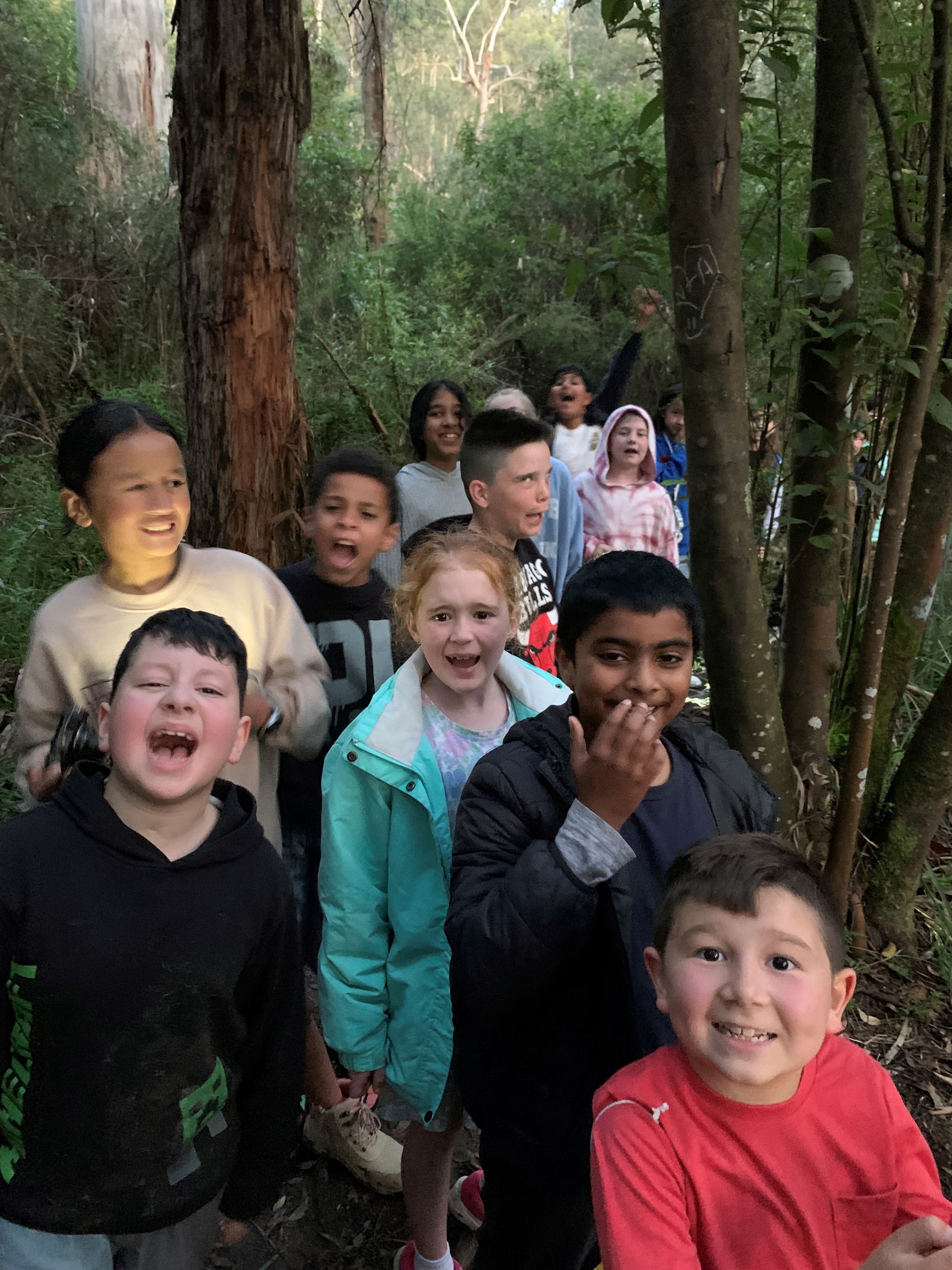 /uploaded_files/media/gallery/1669008327Bushwalking.jpg